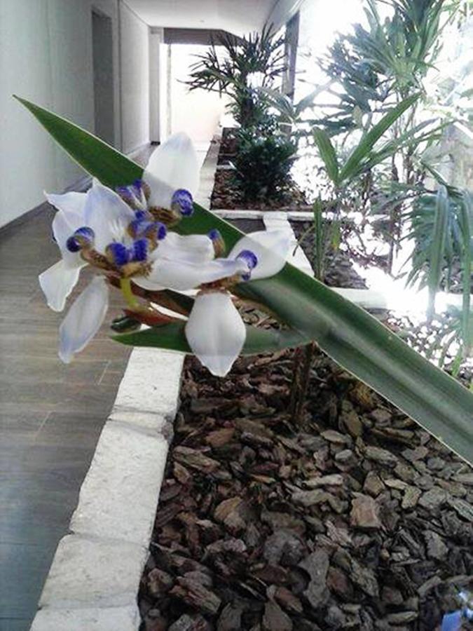 Hotel Luz Fronteira 외부 사진