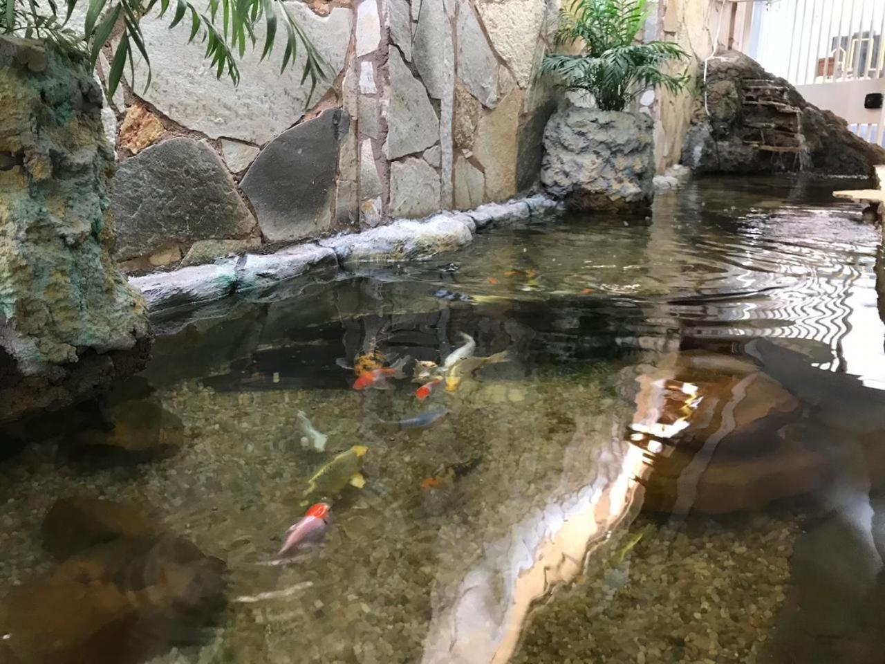Hotel Luz Fronteira 외부 사진